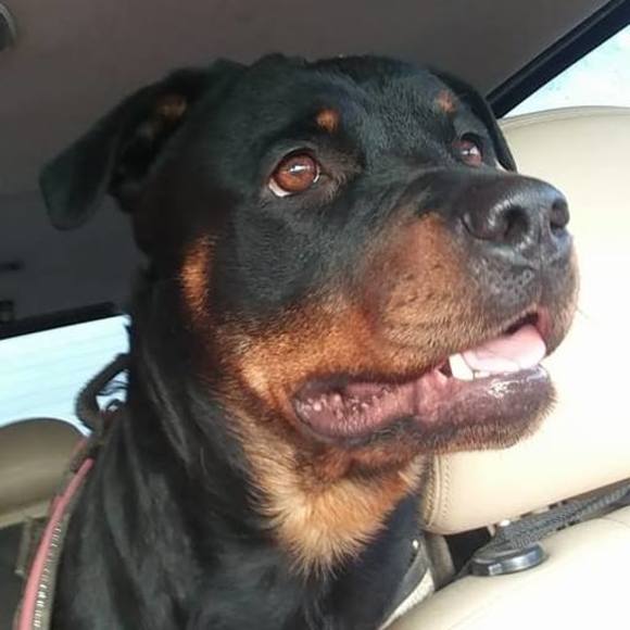 Meet your Posher, Jared - Picture 1 of 1